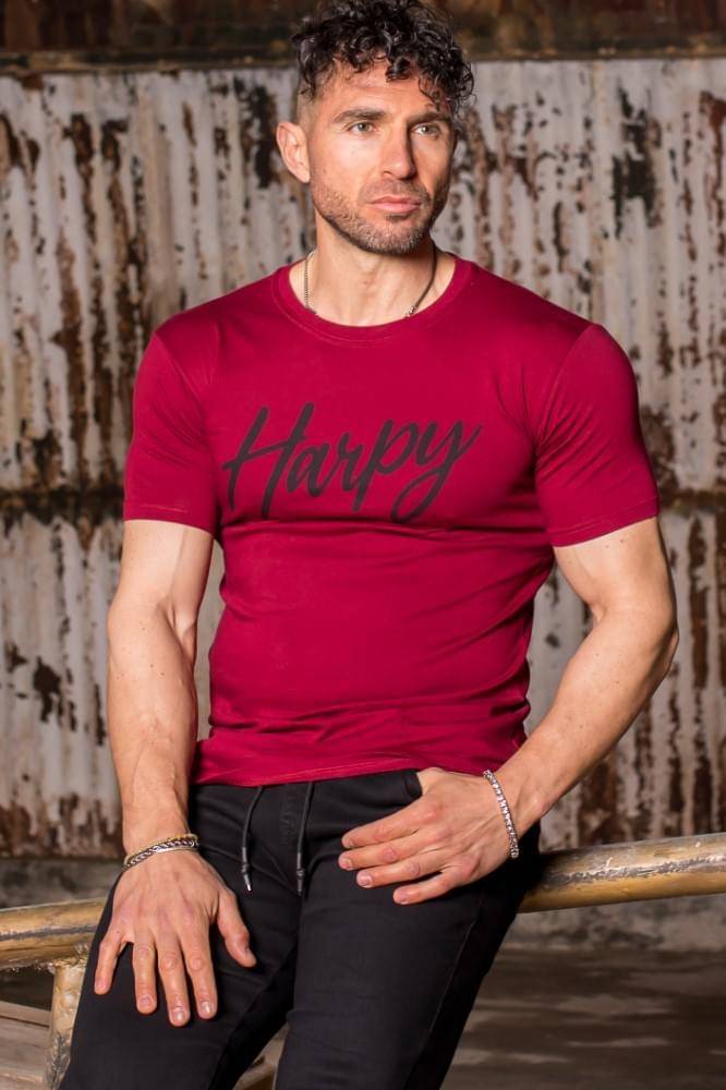 Ανδρικό T-Shirt Harpy με στάμπα (Μπορντό) - Image 2