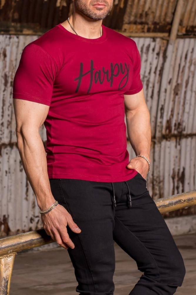 Ανδρικό T-Shirt Harpy με στάμπα (Μπορντό)