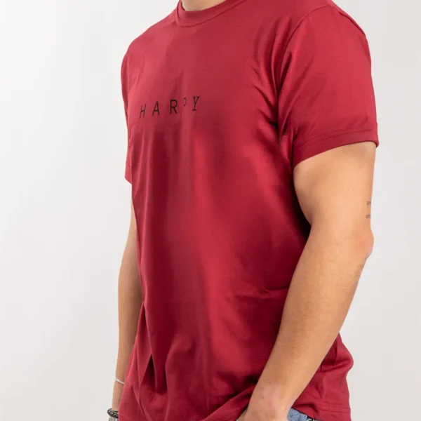 Alternative view of Ανδρικό T-Shirt με στάμπα Harpy (Μπορντό)